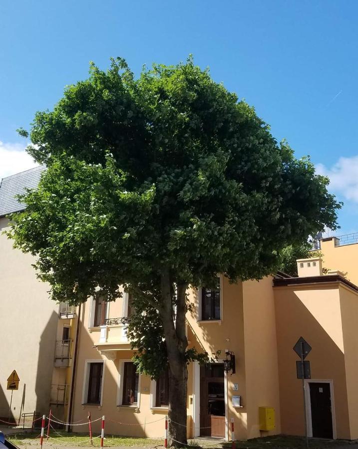Apartamenty Na Cichej 5 A3 Kołobrzeg Exteriör bild